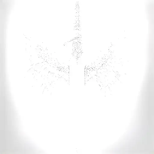 St Michael Sword One Angel Wing