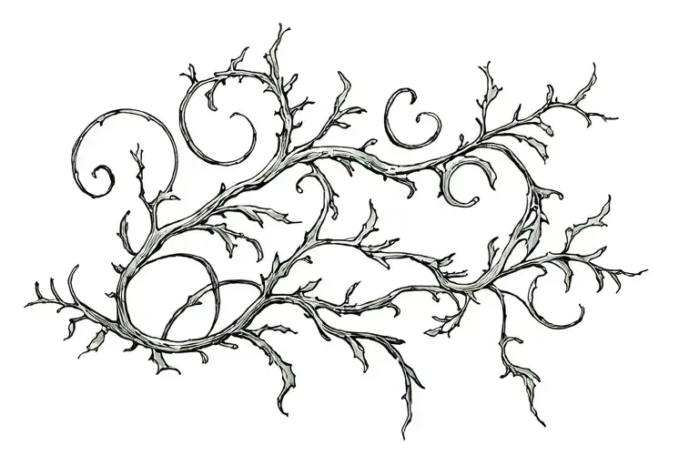 Vine Wrapping Itself