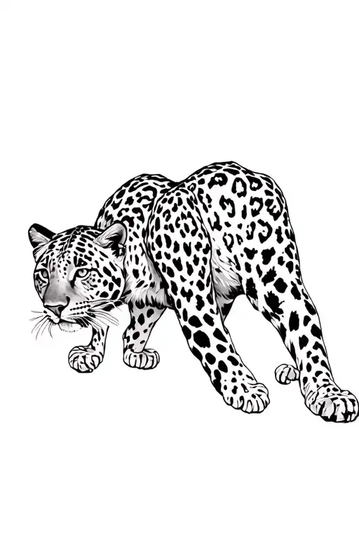 Baby Leopard Walking Towards Me