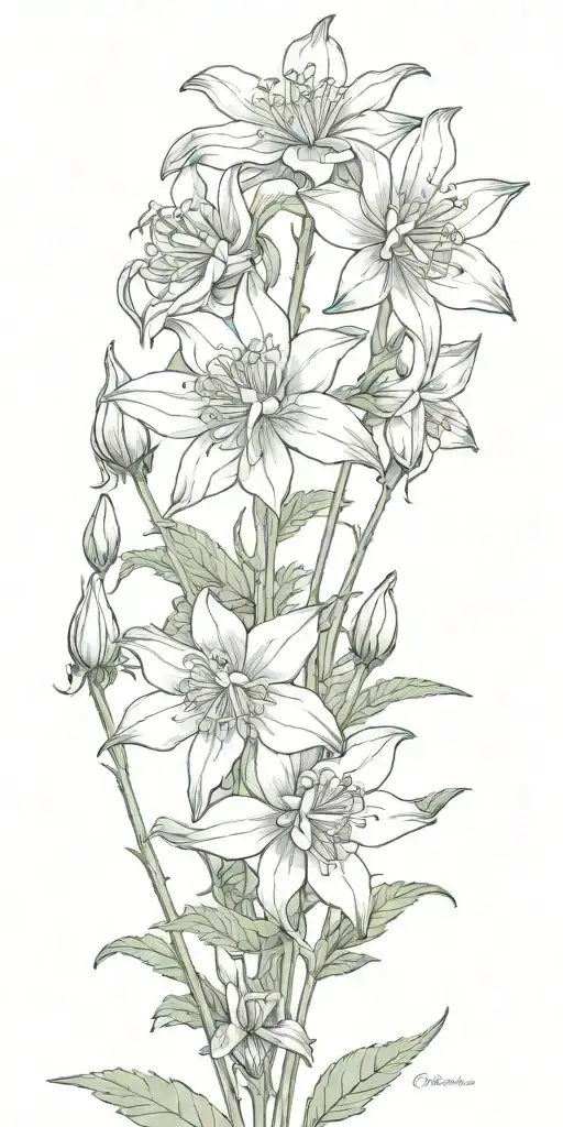 Columbine Flowers In A Rocky Mountain Backdrop