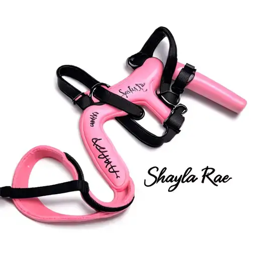 Black Strap On Harness With Pink Dildo That Has Shayla-rae Wrote On The Dildo