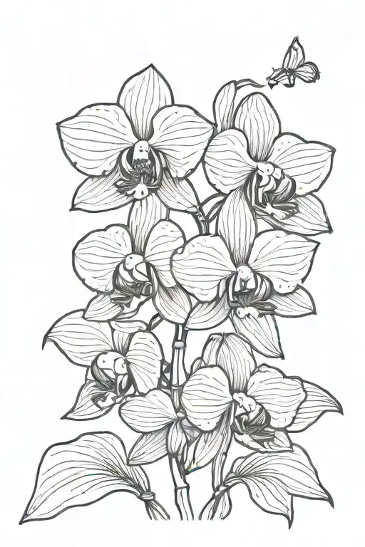 Orchid Flower