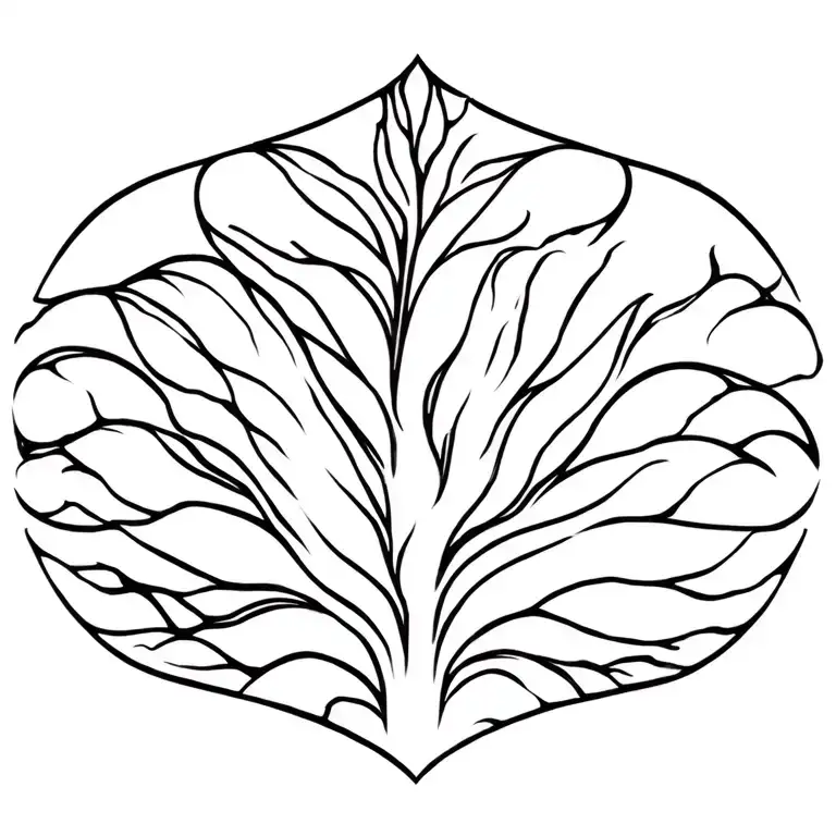 Full Back Of Different Pieces All Nature Related