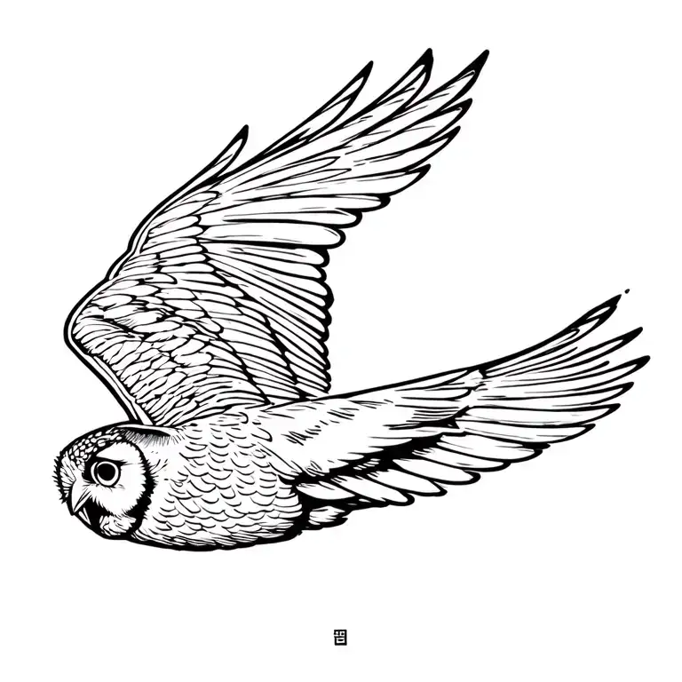 Owl Flying