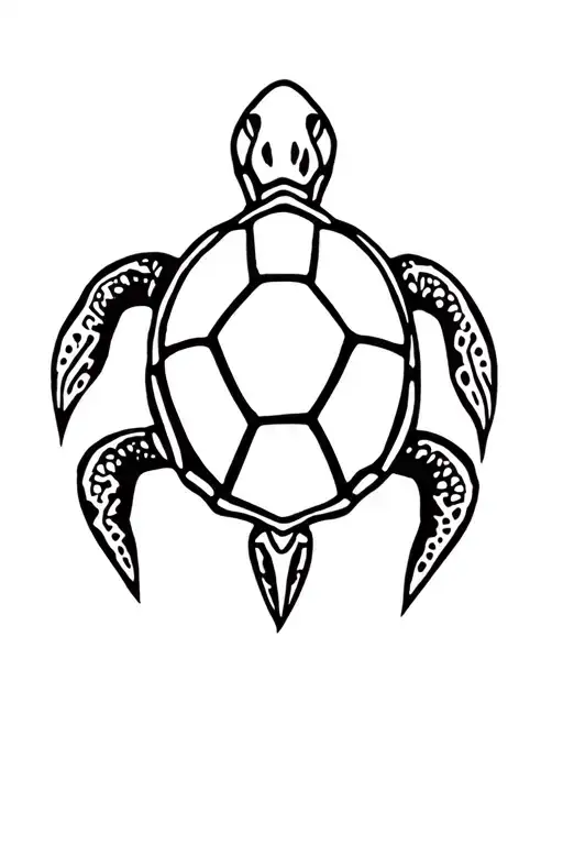 Turtle