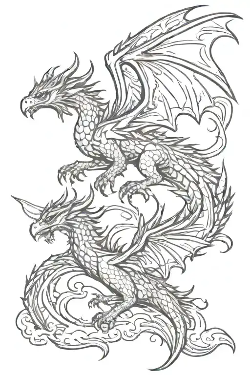 Dragon And Pheonix Flying