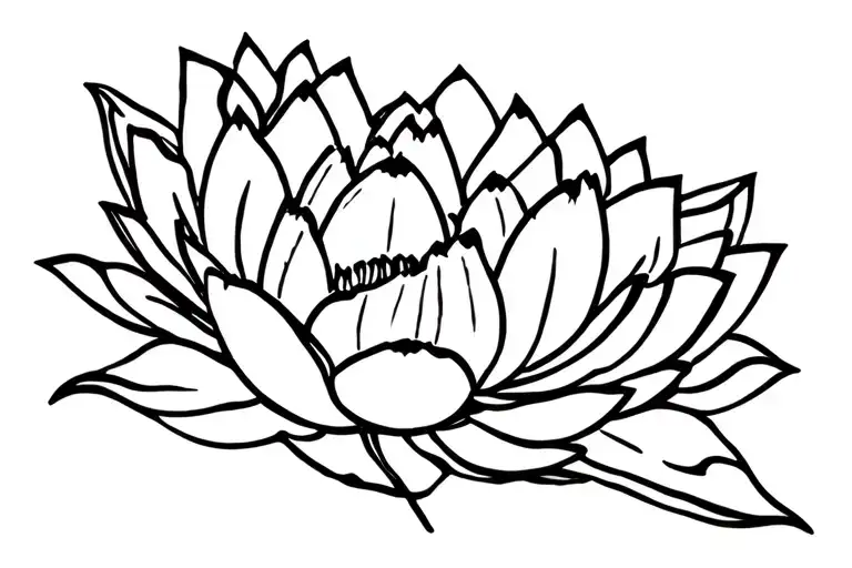 Lotus Flower