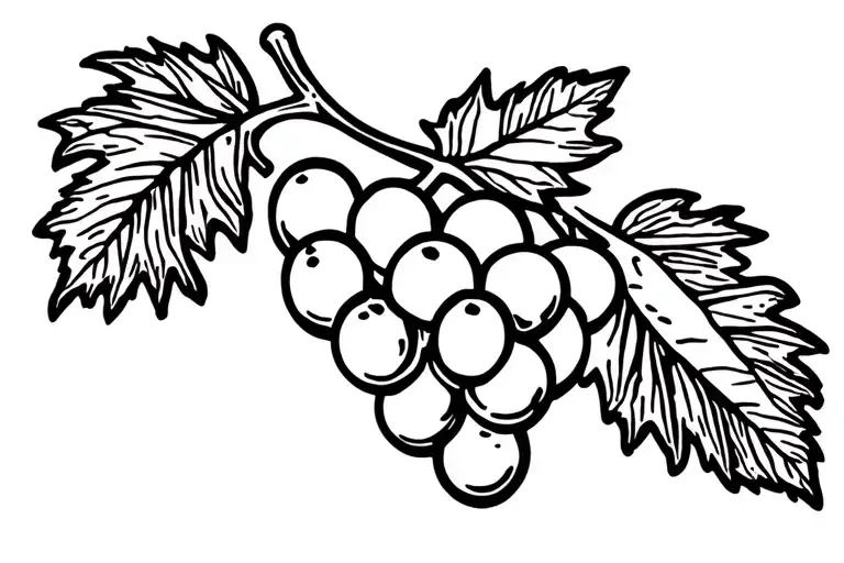 Grapes Leaf