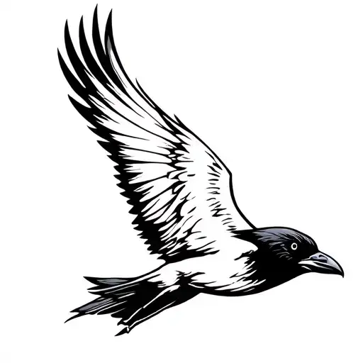 Raven Flying