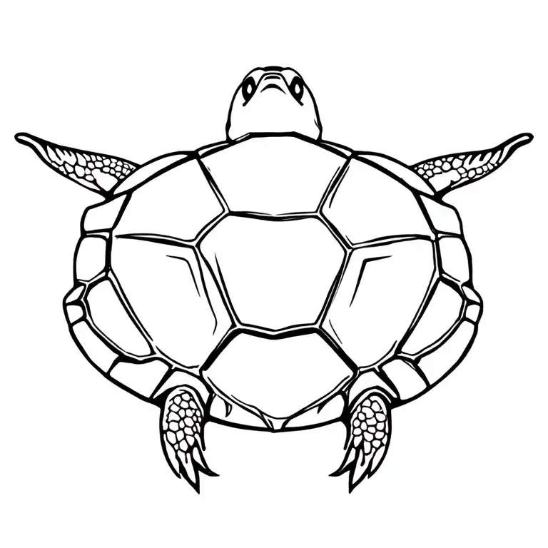 Tortoise
