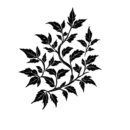 Witch Knot Ivy Leaves