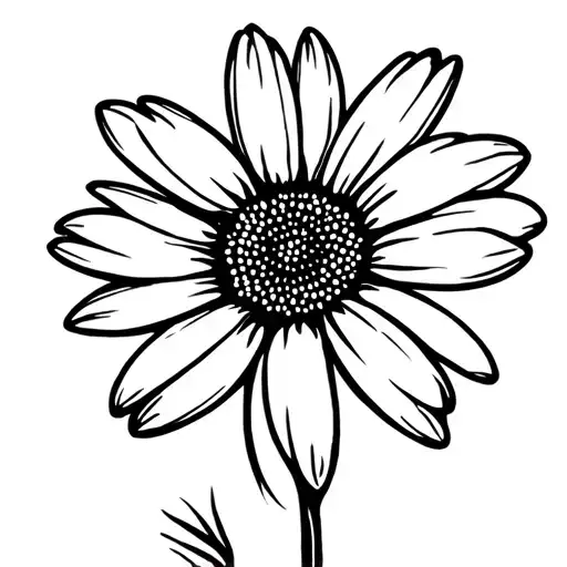 Daisy Flower