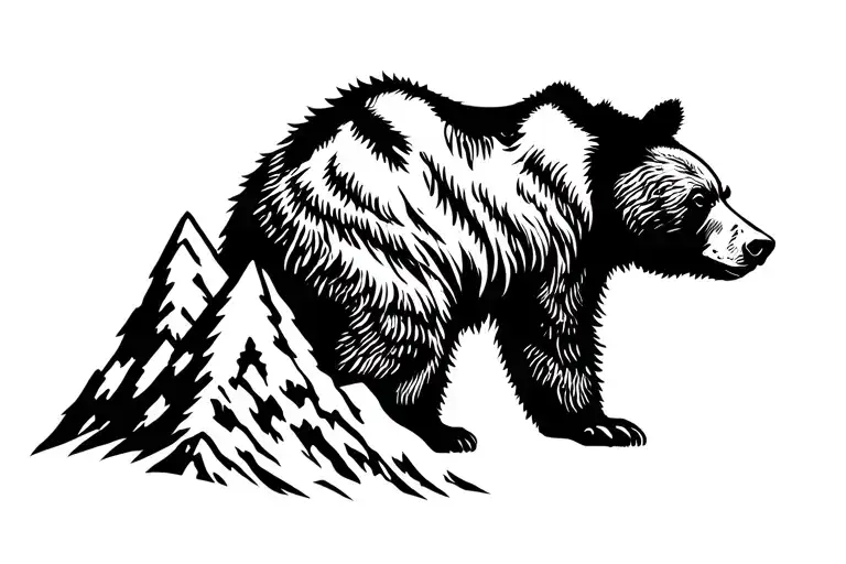 Black Bear In Mountains