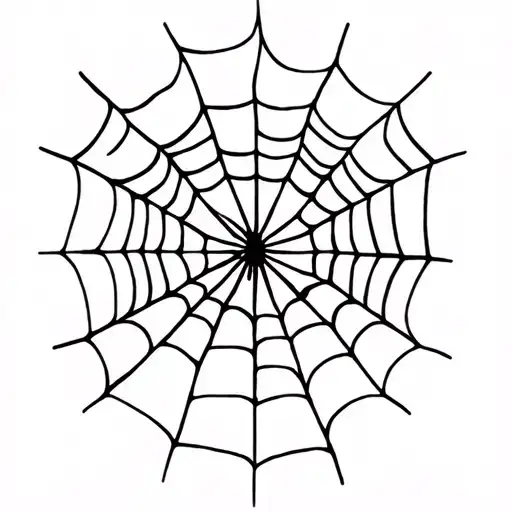 Spider Web Design