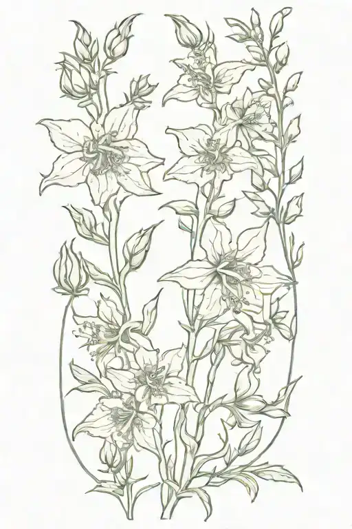 Larkspur Flowers Simple Outline