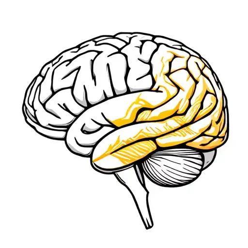 Anatomically Correct Brain With Kintsugi Only In The Right Hemisphere