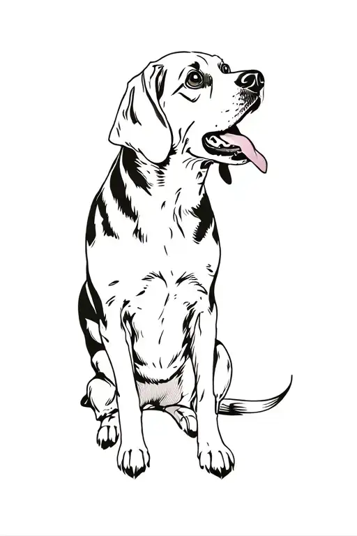 A Beagle