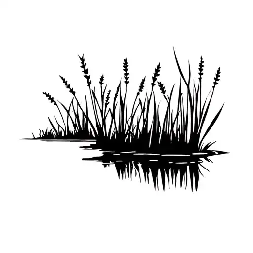 Carolina Marsh