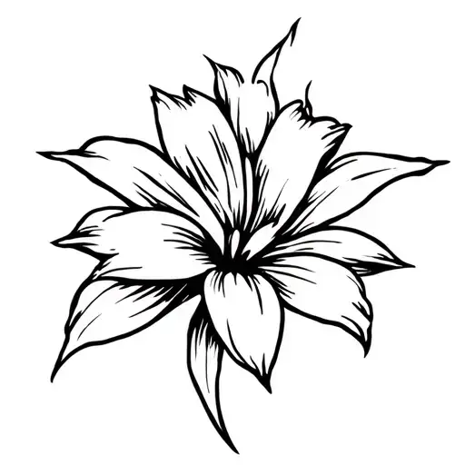 Sampaguita Flower Philippines 3 Stars