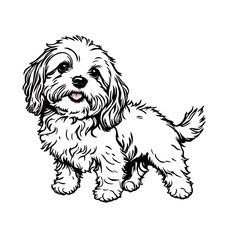 Cavoodle