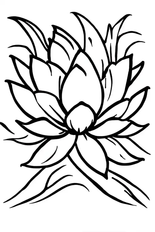 Lotus Large Blooming