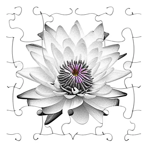 Water Lily Chrysanthemum With The Chrysanthemum Breaking Into Puzzle Pieces