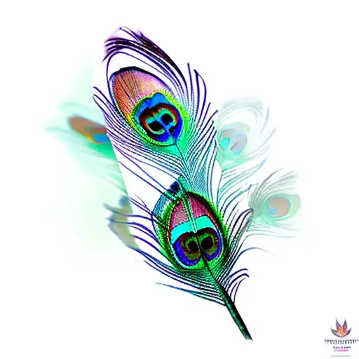 Peacock Feather Dragonfly Butterfly Lotus Flower