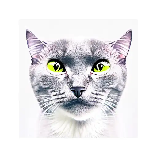 Grey Cat Wide Nose White Chin Green Eyes Masculine War Scene Battle Warrior