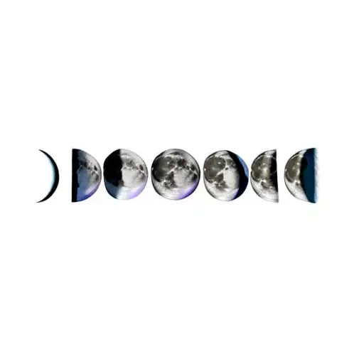 The Phases Of The Moon
