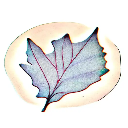 Ginkgo Tree Leaf