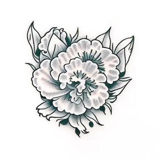 Dog Paw Print And A Carnation