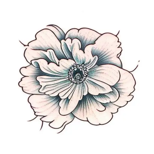 Narcissus Peony Daisy