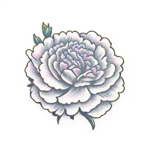 Pink Carnation With The Intials Cjf Under It And The Date 1961-2018