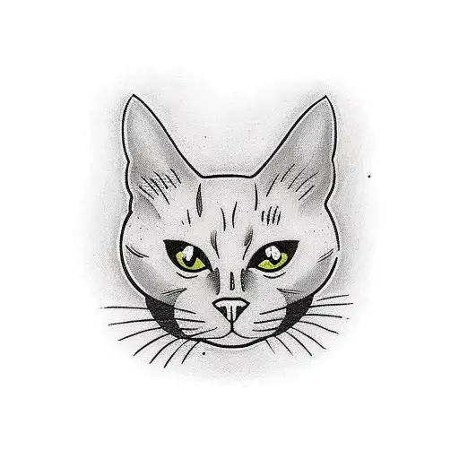 Black Cat With White Spot On The Chest