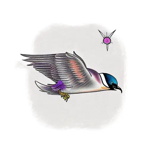 Purple Swallow Bird