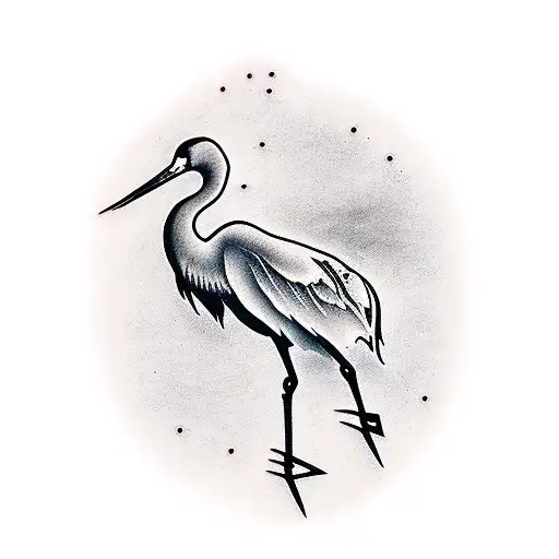 Crane Animal