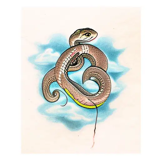 Snake Wrapped Around A Ancient Book