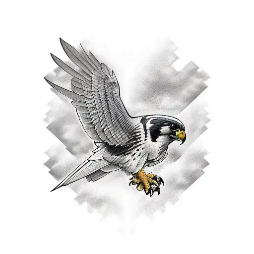 Falcon Black And White Aggresive