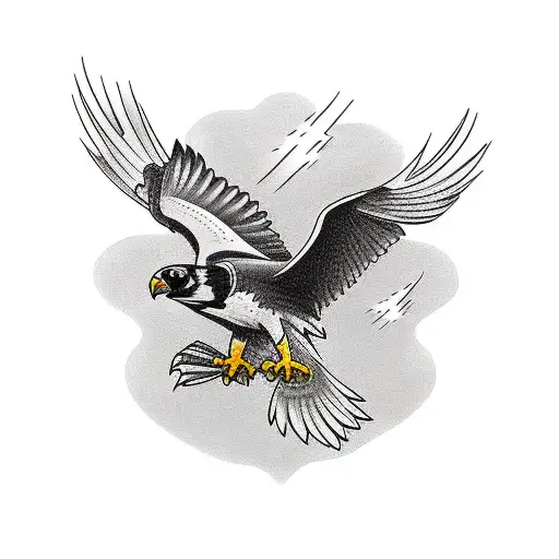 Falcon Black And White Aggresive