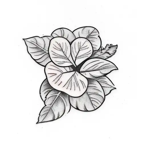 Small Fittonia Plant