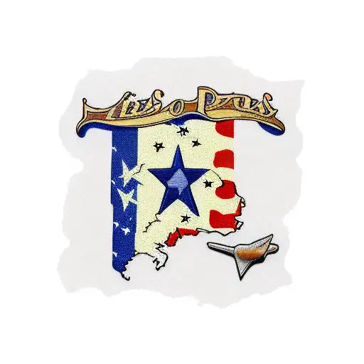 Illinois With Texas Flag