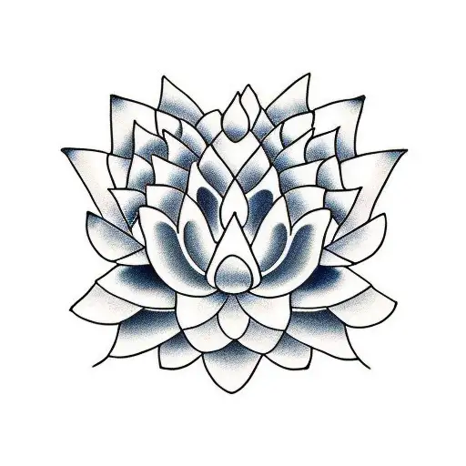Lotus Flower Colored As The American And Nz Flag
