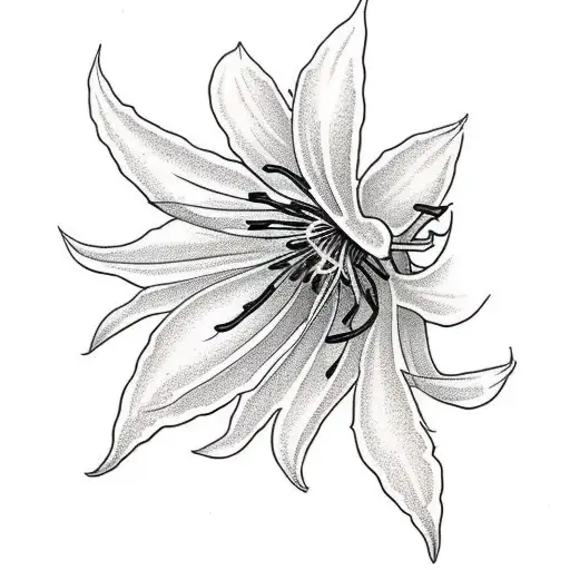 Spider Lily Growing Out Of Askull