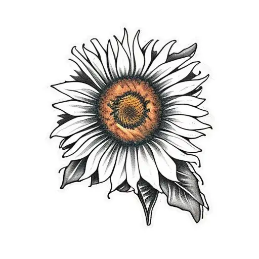 Monarch Butterfly On A Sunflower