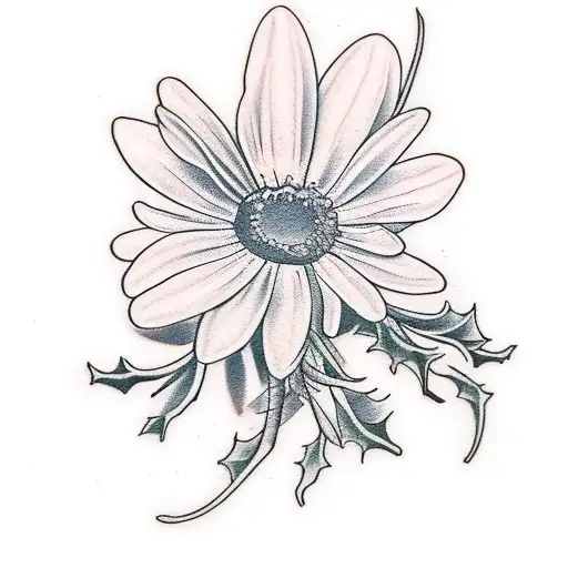 Daisy And Sweet Pea Holly And Narcissus