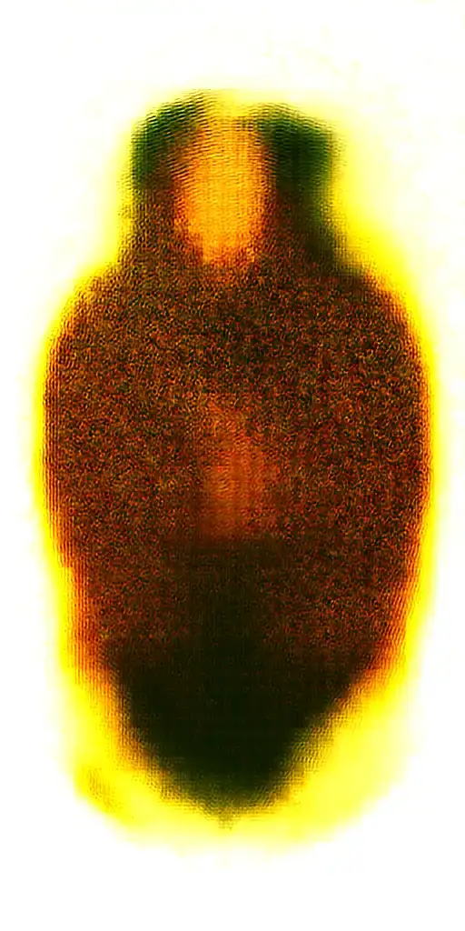 Sexy Pinup Gay Bearded Masculine Sailor Nautical Theme Krackin Anchor Rope Tom Of Finland