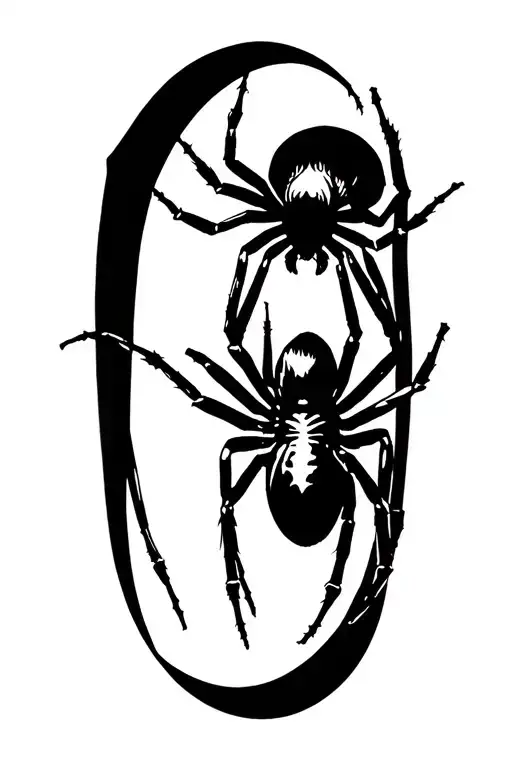 Black Widow Spider