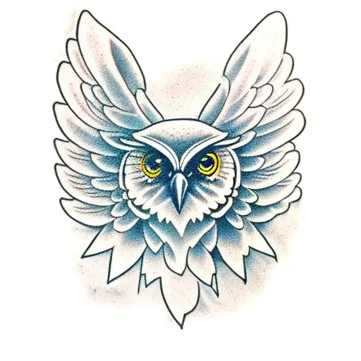 Elderly Eagle And Academic Owl