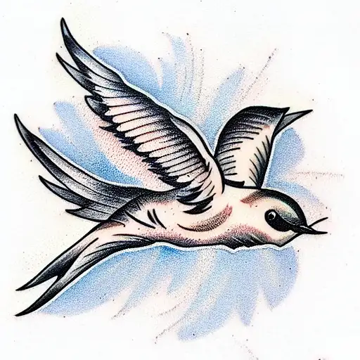 Swallow Bird