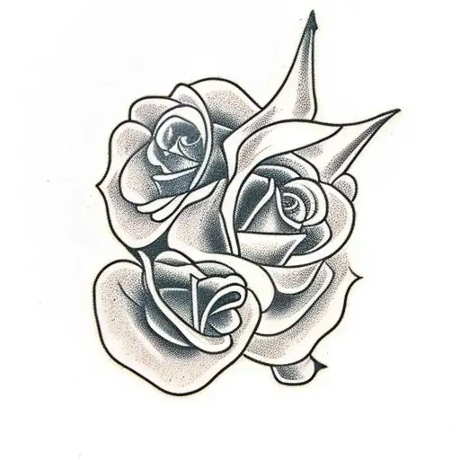 Crow Skull With A Rose In The Background